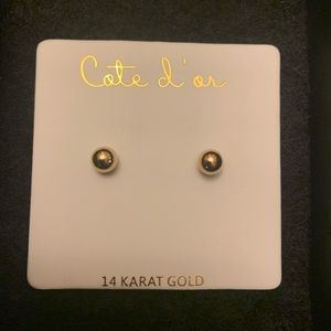 14K Gold Stud Earrings